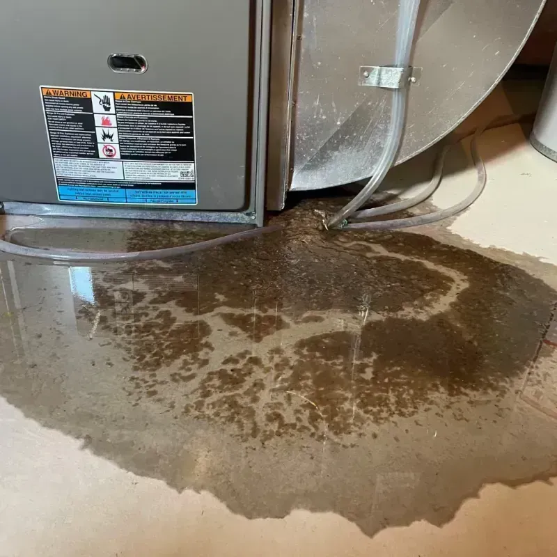 Appliance Leak Cleanup in Depoe Bay, OR